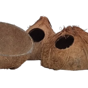 Coconut cave for freshwater aquarium