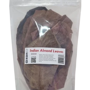 Indian Almond leaves for freshwater aquariums